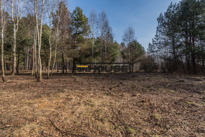 Działka Sprzedaż Tajęcina