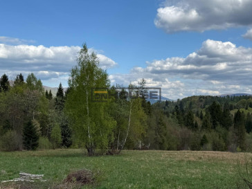Działka Sprzedaż Strzebowiska